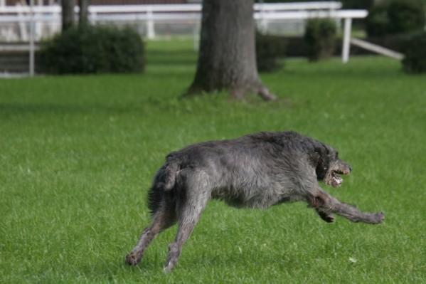 IMH_0294.JPG