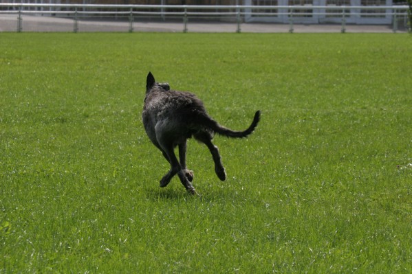IMH_0277.JPG
