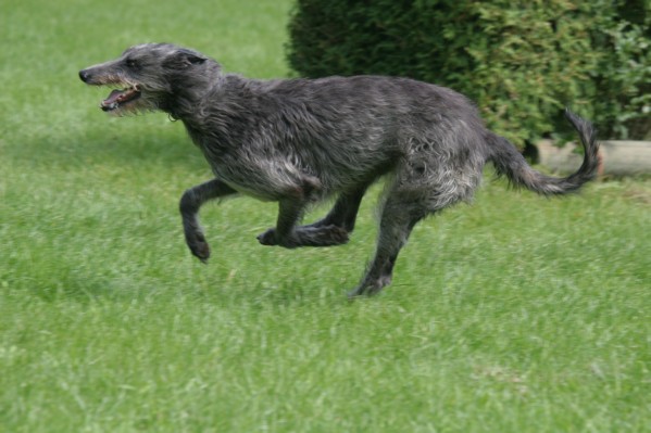 IMH_0280.JPG